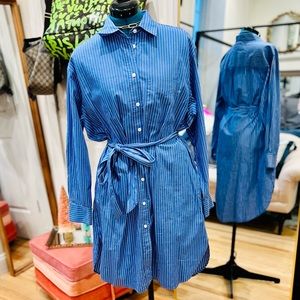 Gap Pinstriped Button Down Shirtdress